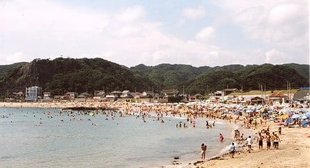 写真
