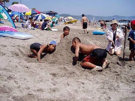 写真