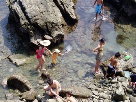 写真