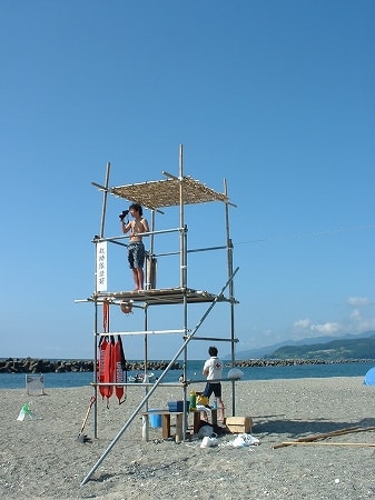 写真