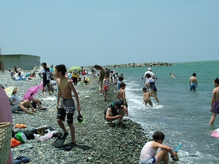 水浴場画像