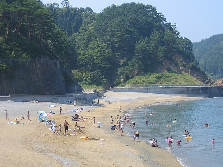 写真