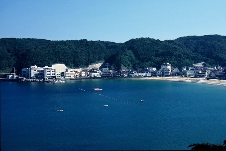 写真