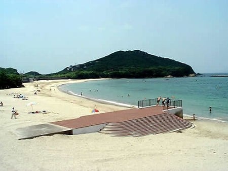 写真