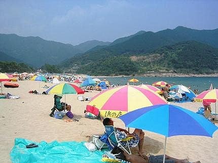 写真