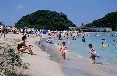 写真