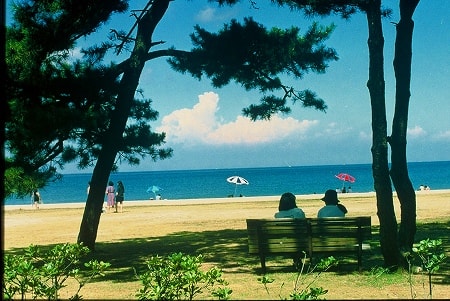 写真