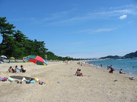 写真