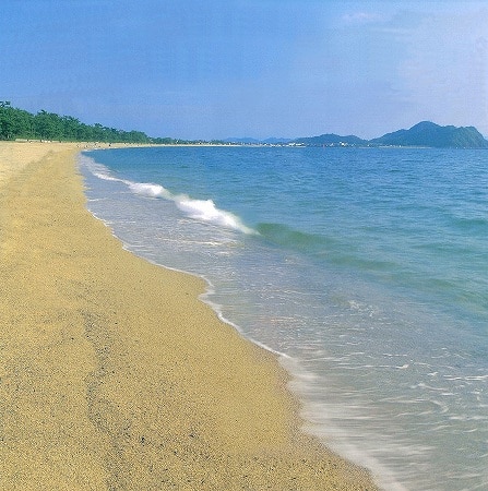 水浴場画像
