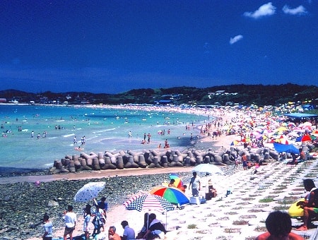 写真