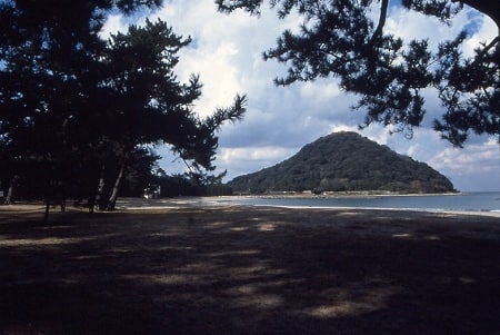 写真