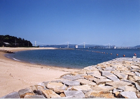 写真