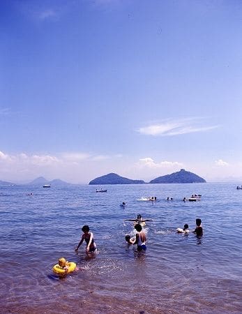 写真