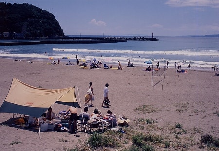 写真