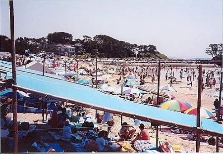 写真