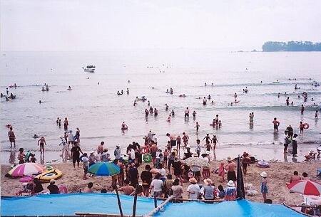 写真