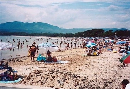 写真