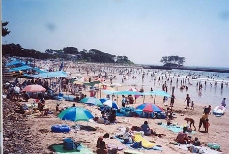 水浴場画像