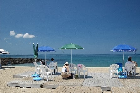 写真