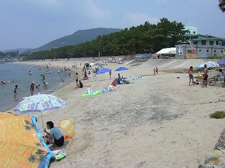 写真