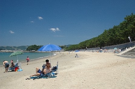 写真