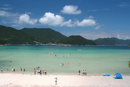 写真