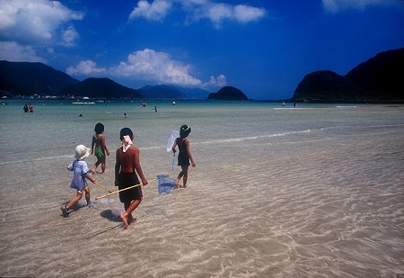 水浴場画像