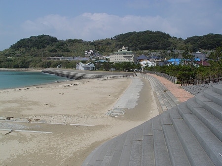 写真