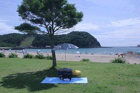 写真