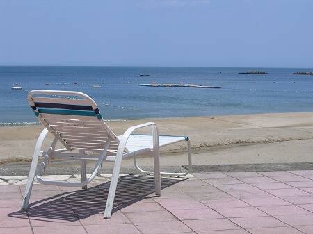 写真