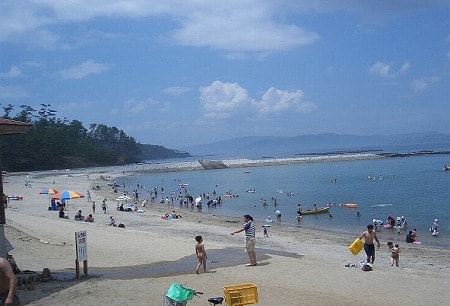 写真
