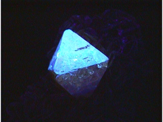 灰重石