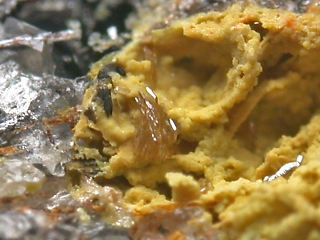 単斜鉛重石