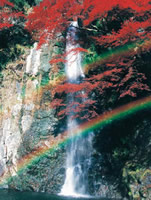 写真：箕面大滝