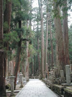 写真：高野山参道