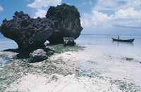 写真：与論島