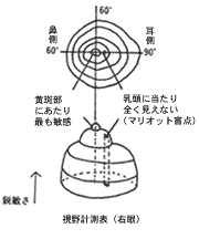 視野