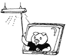 視力の管理