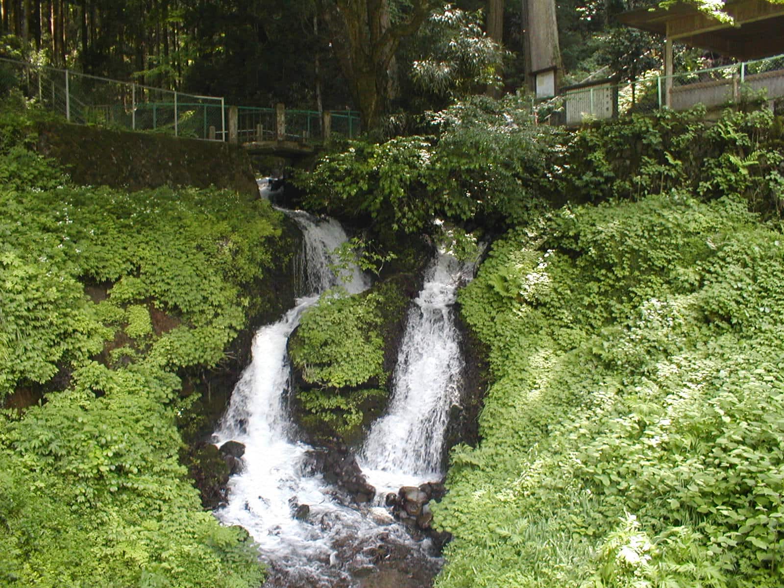 名水画像