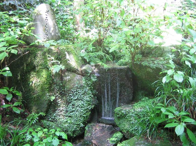 名水画像