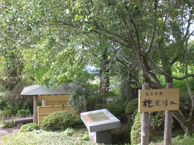 名水画像