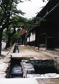 新庄宿の小川
