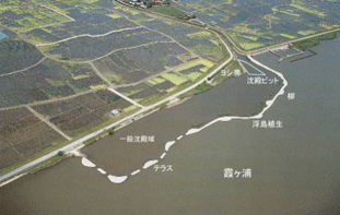 湖内湖植生浄化施設（ウェットランド）