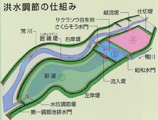 洪水調節のしくみ