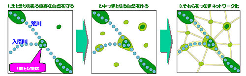 自然をつなぐネットワークの考え方