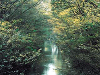 玉川上水