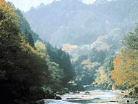 秋川渓谷