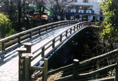 名勝猿橋