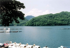 相模湖