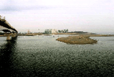 河口付近
